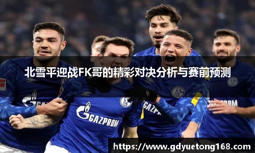 北雪平迎战FK哥的精彩对决分析与赛前预测